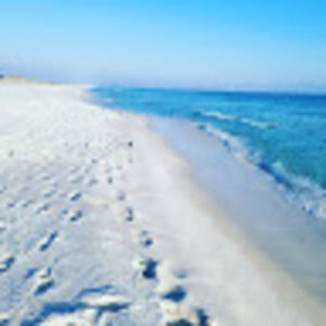 Meet your Posher, Porschea